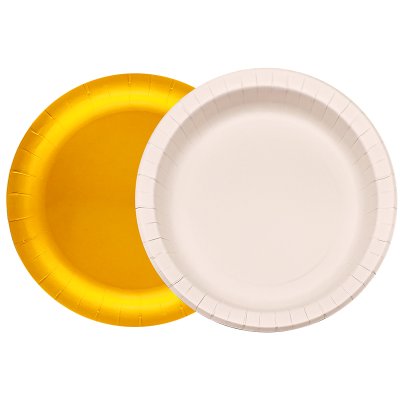 Disposable paper plate