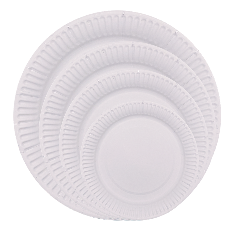 Disposable paper plate