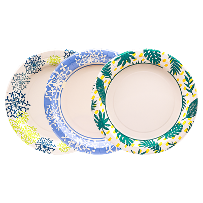 Disposable paper plate