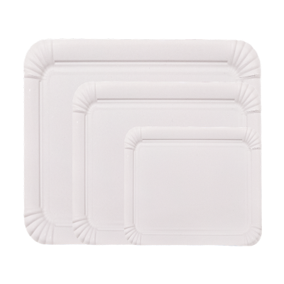 Disposable paper plate