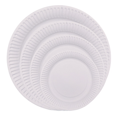 Disposable paper plate